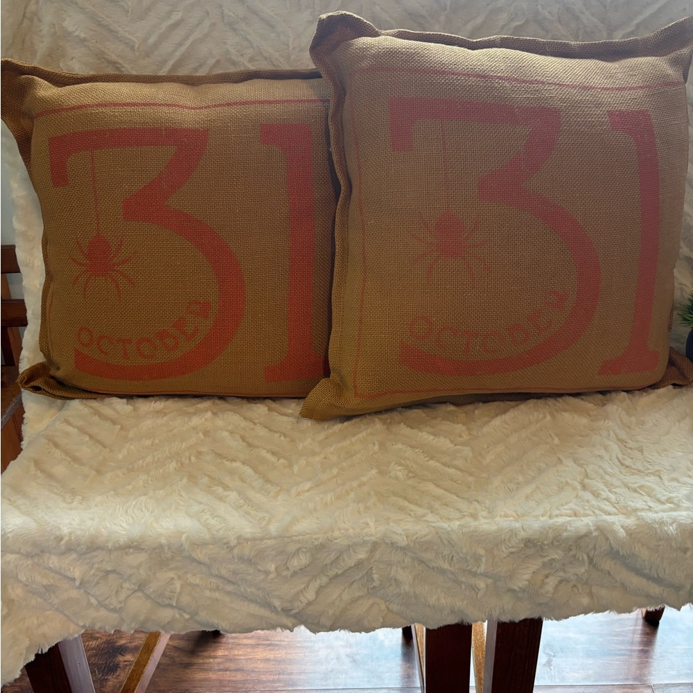 Halloween October 31 Decorative Pillows